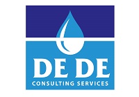 Web link Logo DE DE Consulting Services